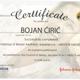 1-IV-Workshop-Breast-Aesthetic-experience-Mentor-2015-1024x739