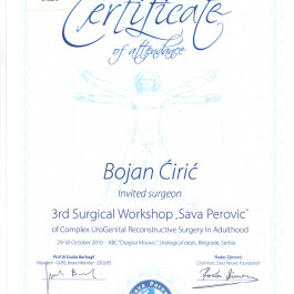 3d Surgical Workshop Prof Sava Perovic of Uro Genital Reconstruvtive Surgery INVITED SURGEON
