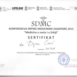 SDMC konferencija sroske med dijaspore 2015
