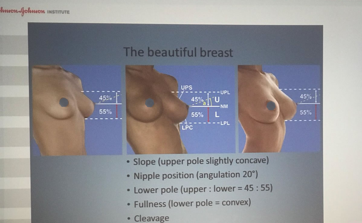 Ovako izgledaju savršene grudi o kojima maštaju muškarci