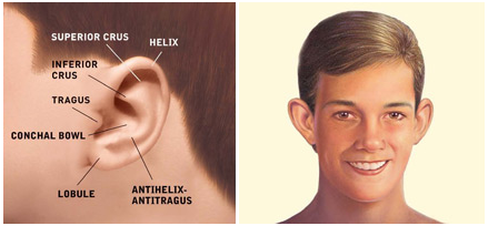 ear-surgery - Aesthetic plastic surgery DR ĆIRIĆ